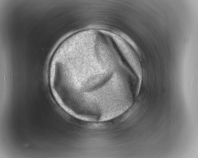 X0000103251148200809181559