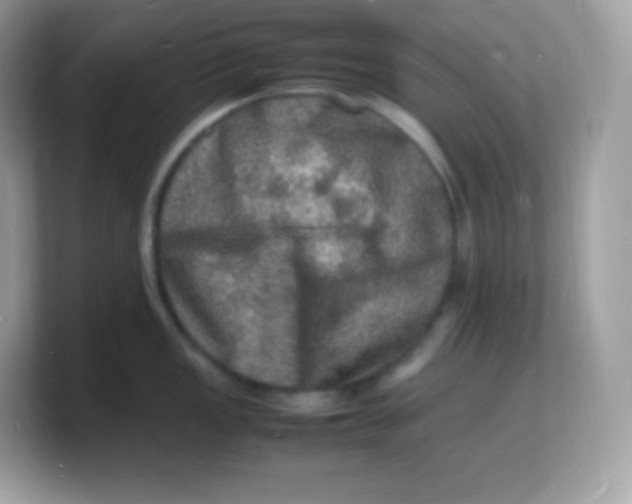 X0000103251149200809181559