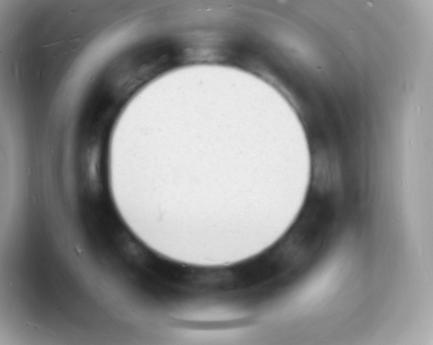 X0000103251150200809181559