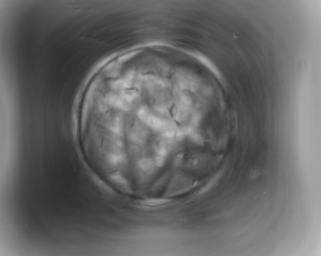 X0000103251151200809181559