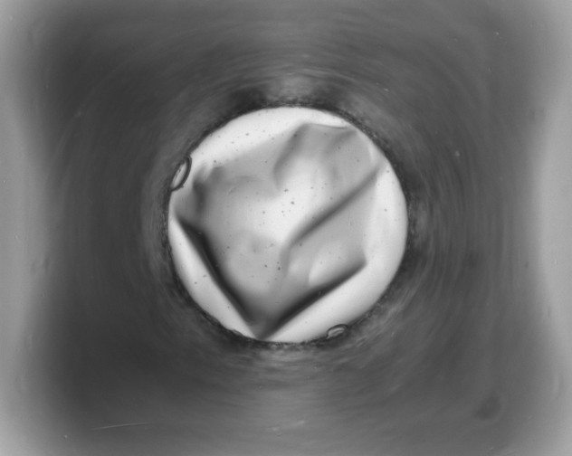 X0000103251153200809181558
