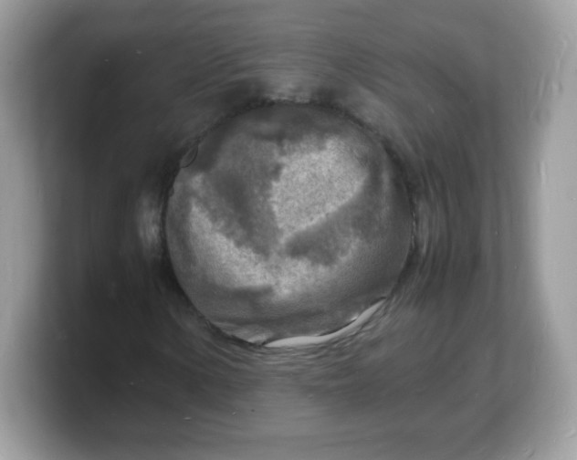 X0000103251154200809181558