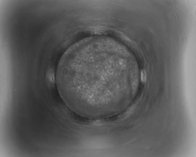 X0000103251155200809181558