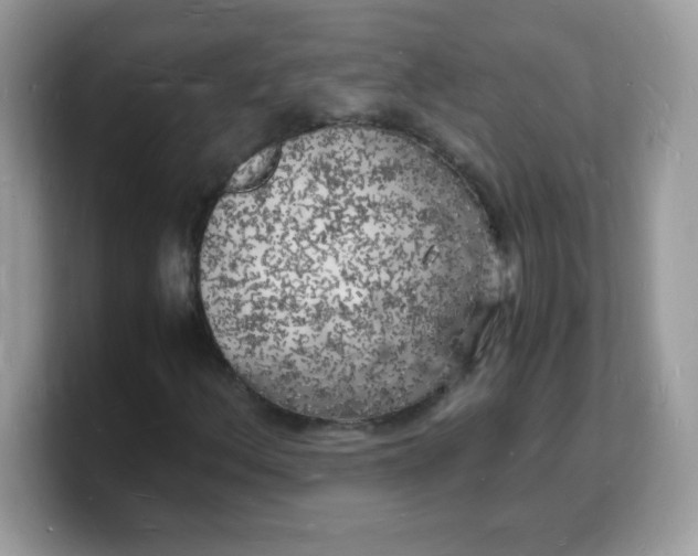 X0000103251156200809181558
