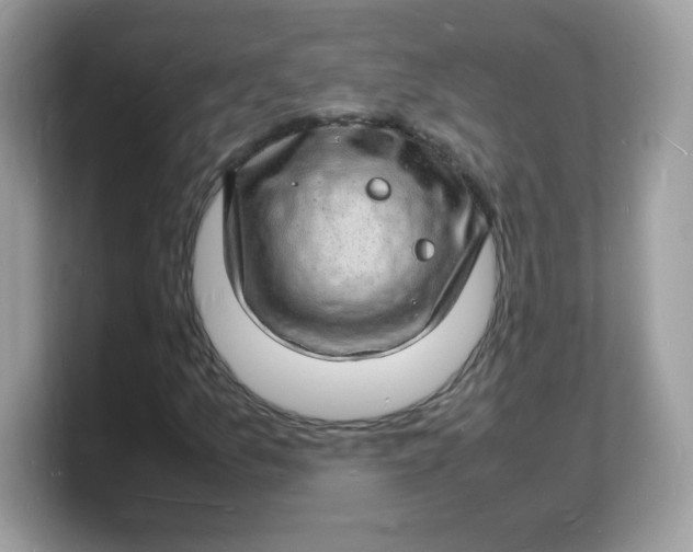X0000103251157200809181558