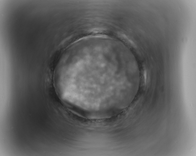 X0000103251158200809181558