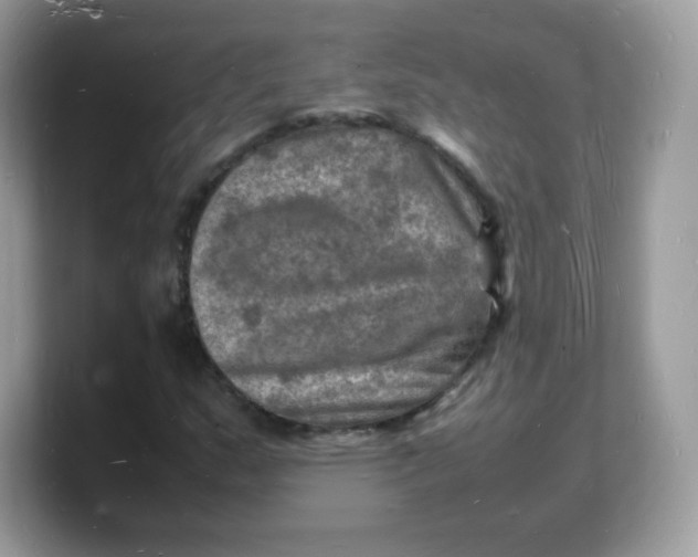 X0000103251159200809181558