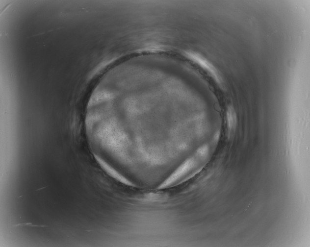 X0000103251160200809181558