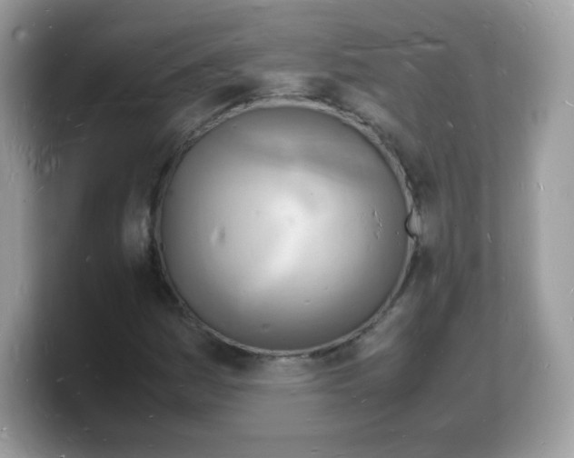 X0000103251161200809181558