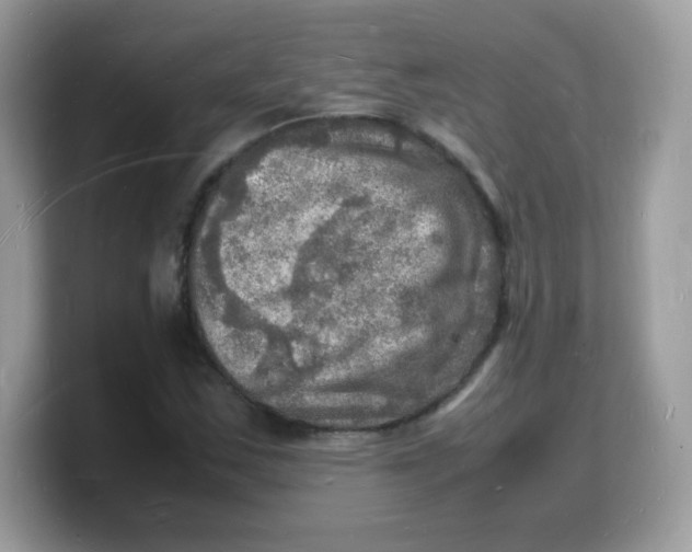 X0000103251163200809181558