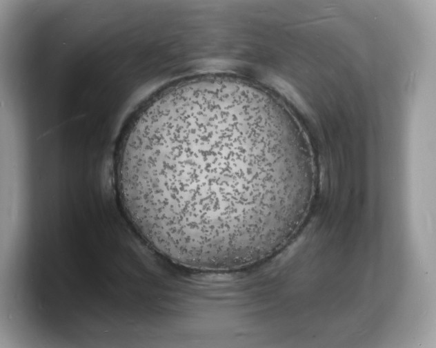 X0000103251164200809181558