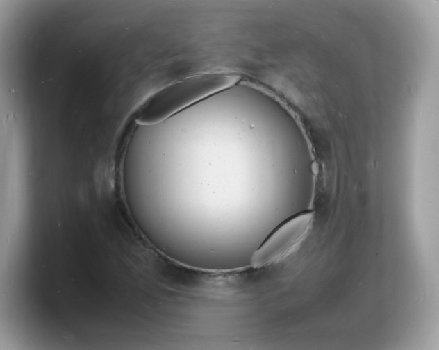 X0000103251165200809181558