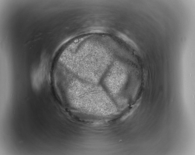 X0000103251166200809181558