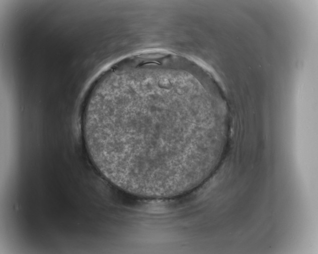X0000103251167200809181558