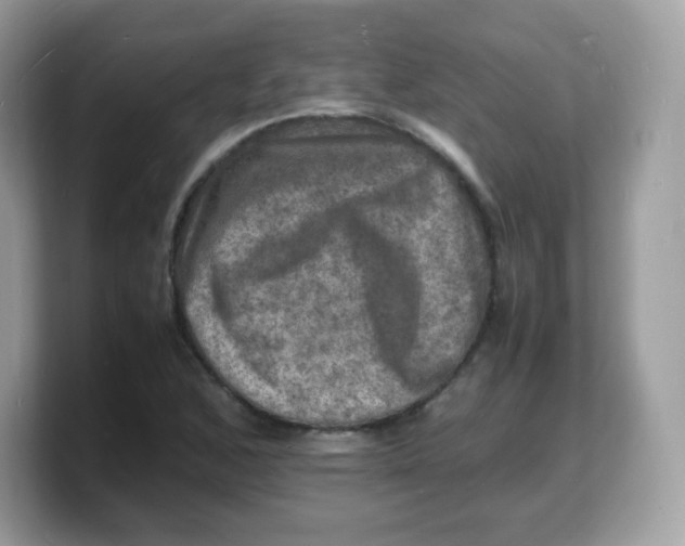 X0000103251168200809181558