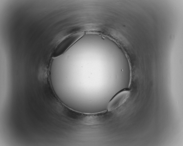 X0000103251169200809181558
