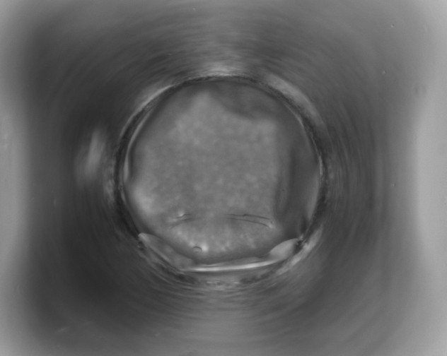 X0000103251170200809181558