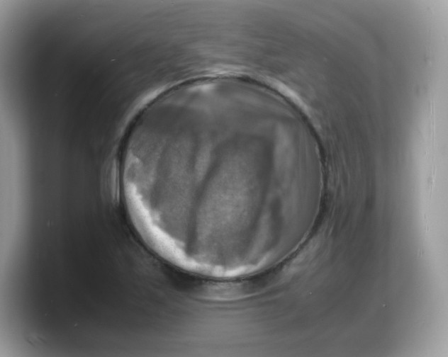 X0000103251171200809181558