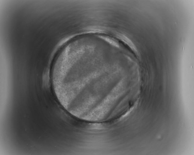 X0000103251172200809181558
