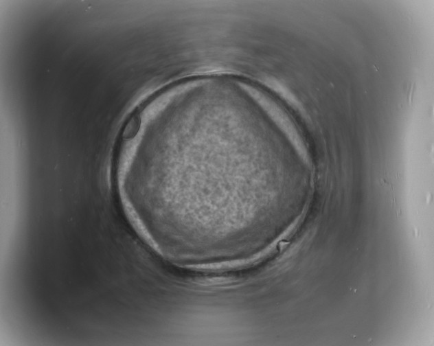 X0000103251173200809181558