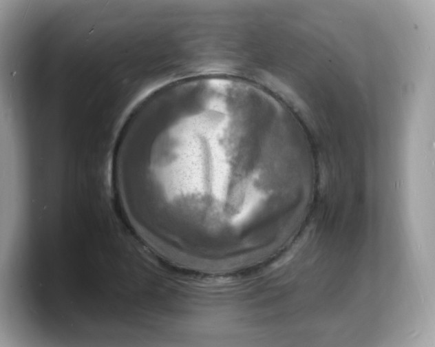 X0000103251174200809181558