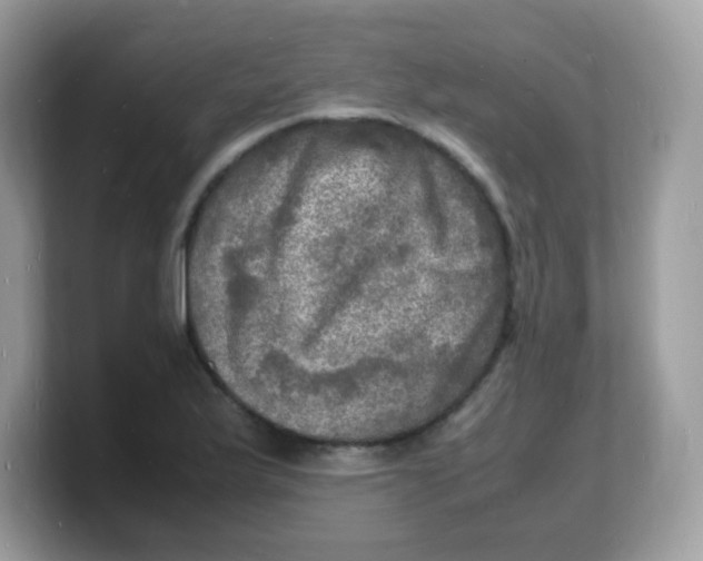 X0000103251175200809181558