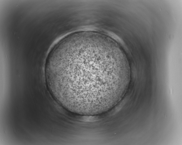 X0000103251176200809181558