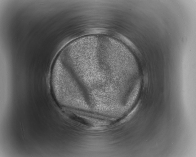 X0000103251178200809181558