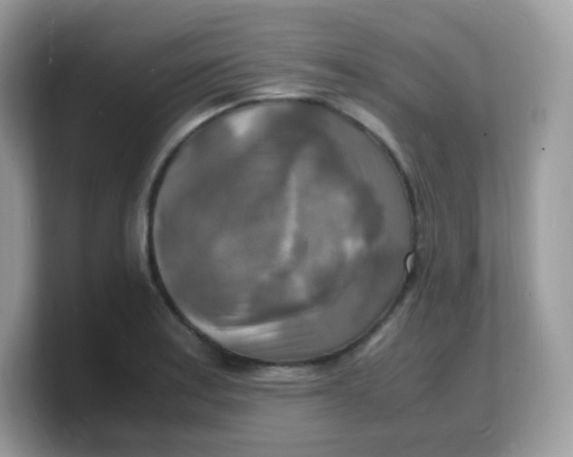X0000103251179200809181558