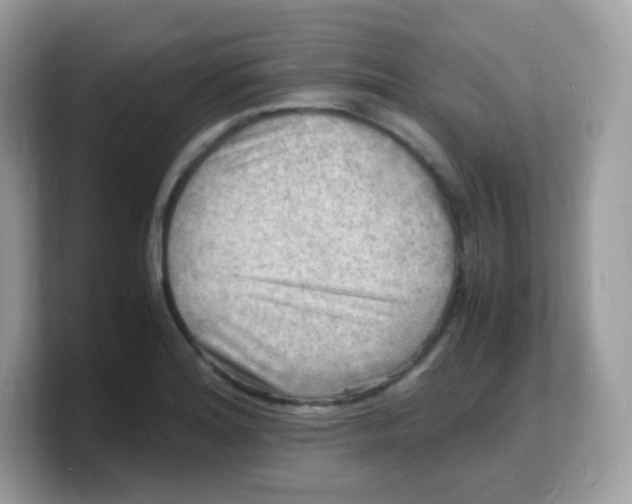 X0000103251180200809181558