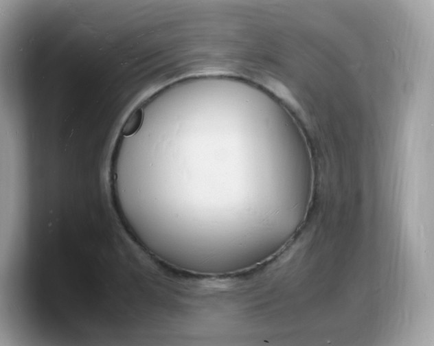X0000103251181200809181558