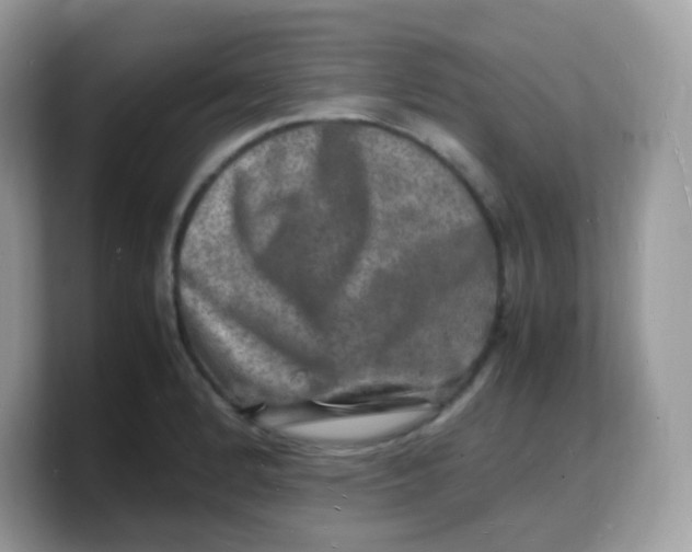 X0000103251184200809181558
