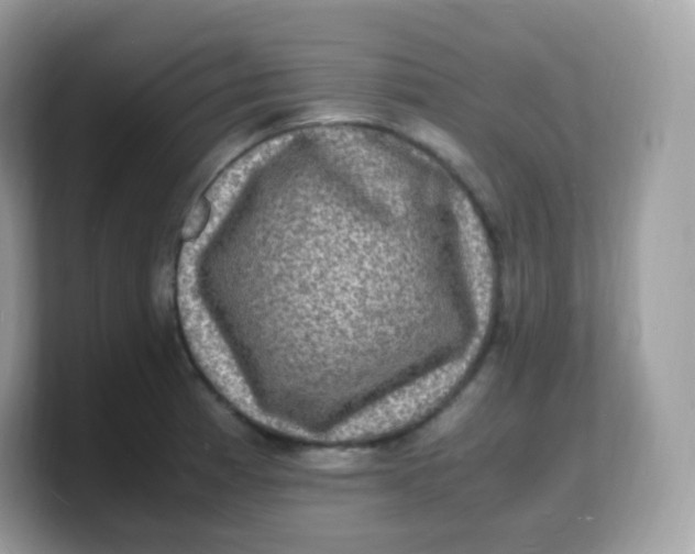 X0000103251185200809181558