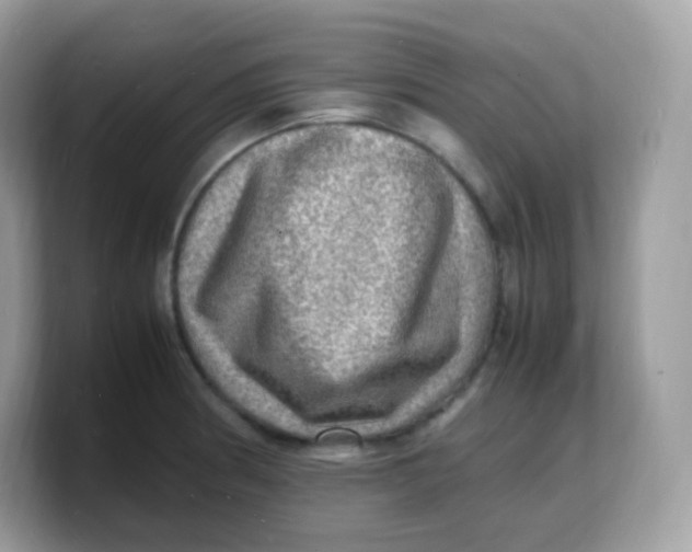 X0000103251186200809181558