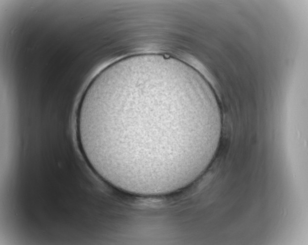 X0000103251187200809181558