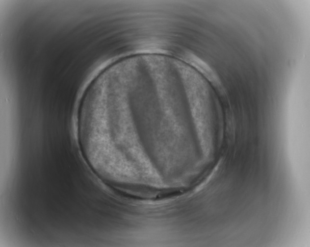 X0000103251188200809181558