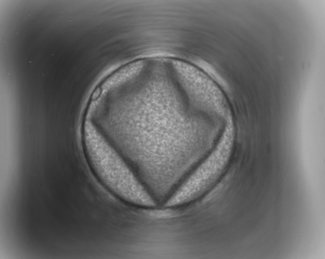 X0000103251189200809181558