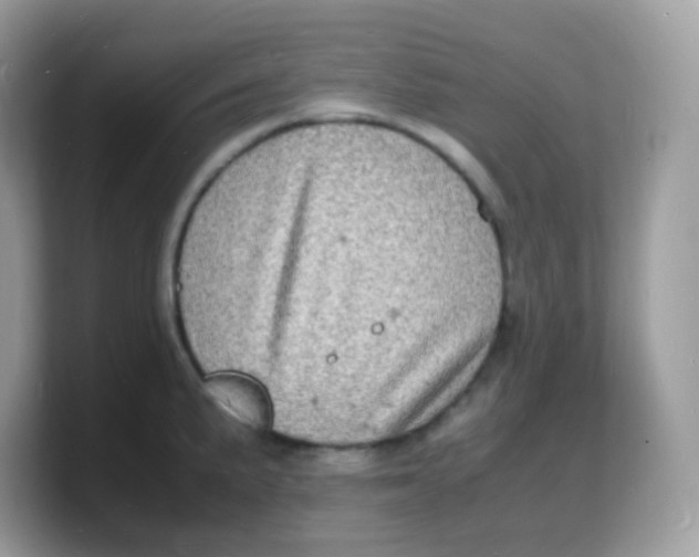X0000103251191200809181558