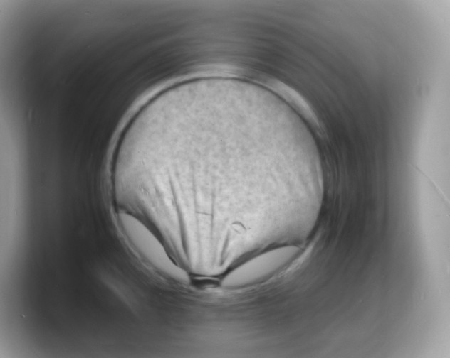 X0000103251192200809181558