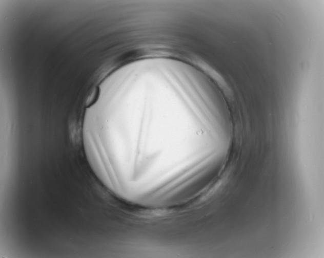 X0000103251193200809181558