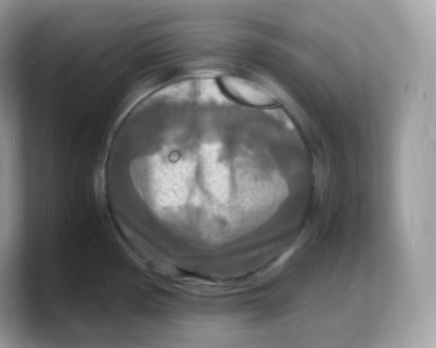 X0000103251194200809181558