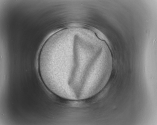 X0000103251195200809181558