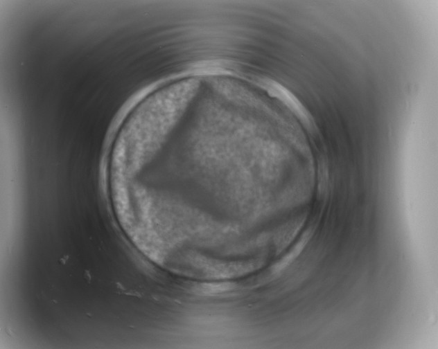 X0000103251196200809181558