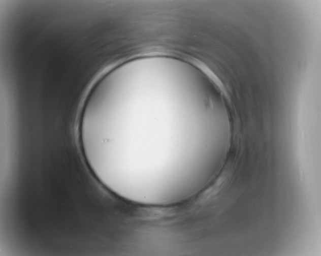 X0000103251197200809181558
