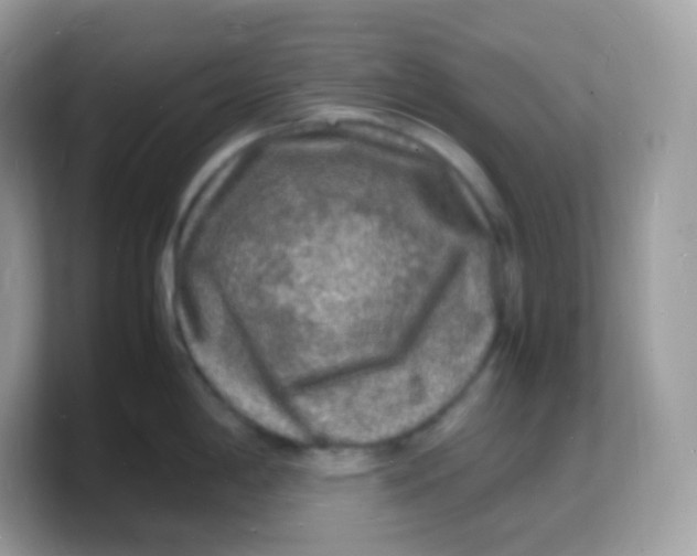 X0000103251198200809181558