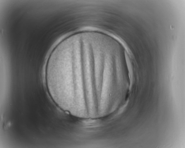 X0000103251199200809181558