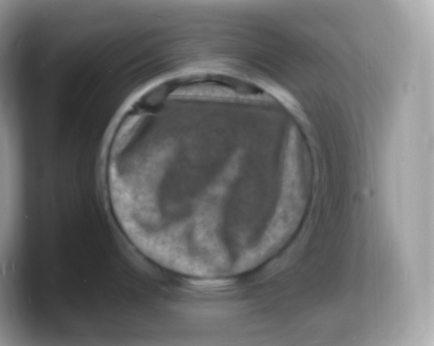 X0000103251200200809181558