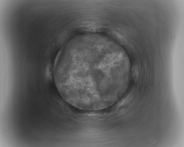 X0000103251202200809181557