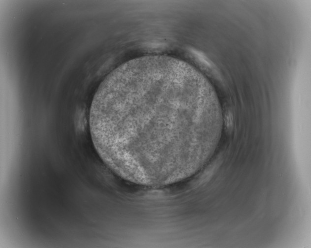 X0000103251204200809181557