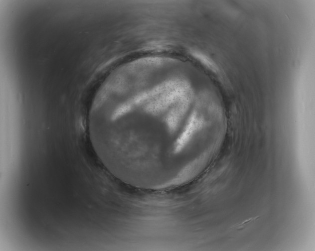 X0000103251206200809181557
